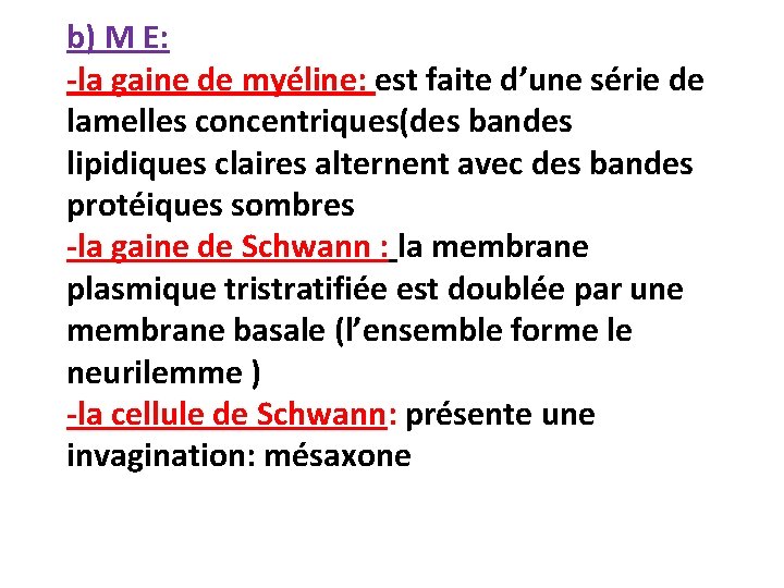 b) M E: -la gaine de myéline: est faite d’une série de lamelles concentriques(des