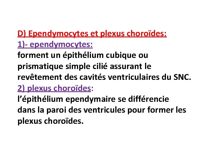 D) Ependymocytes et plexus choroïdes: 1)- ependymocytes: forment un épithélium cubique ou prismatique simple