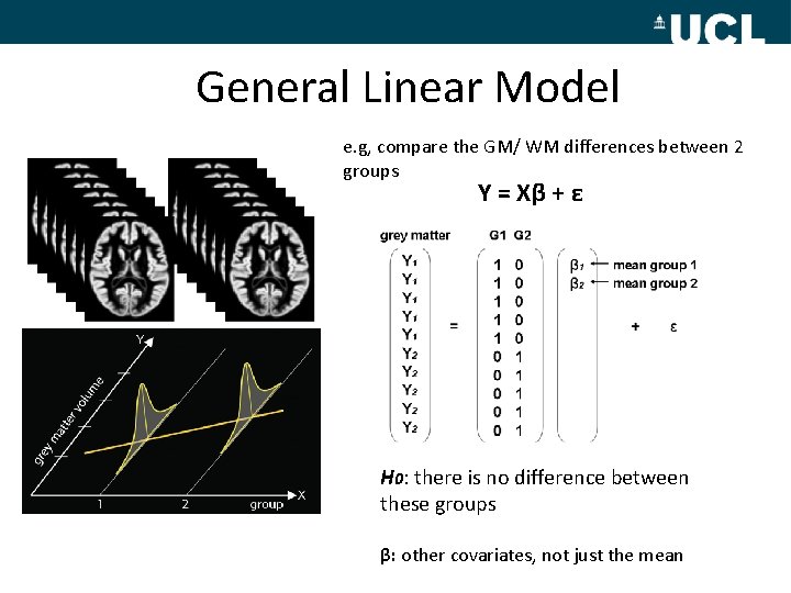 General Linear Model e. g, compare the GM/ WM differences between 2 groups Y