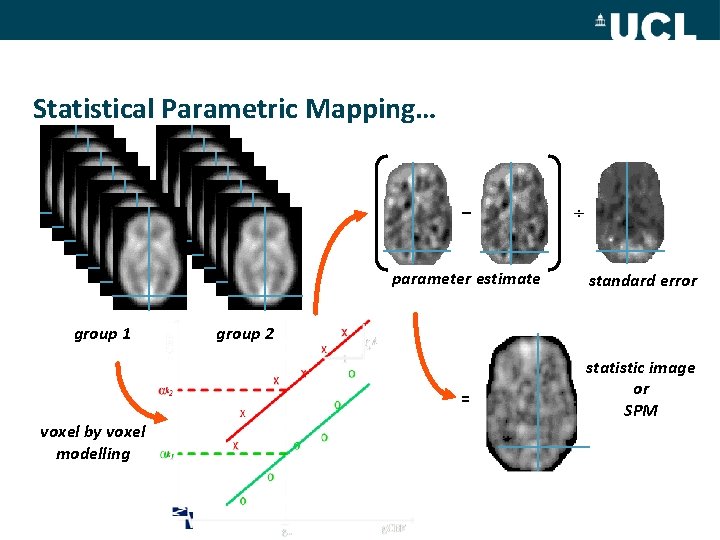 Statistical Parametric Mapping… – parameter estimate group 1 standard error group 2 = voxel