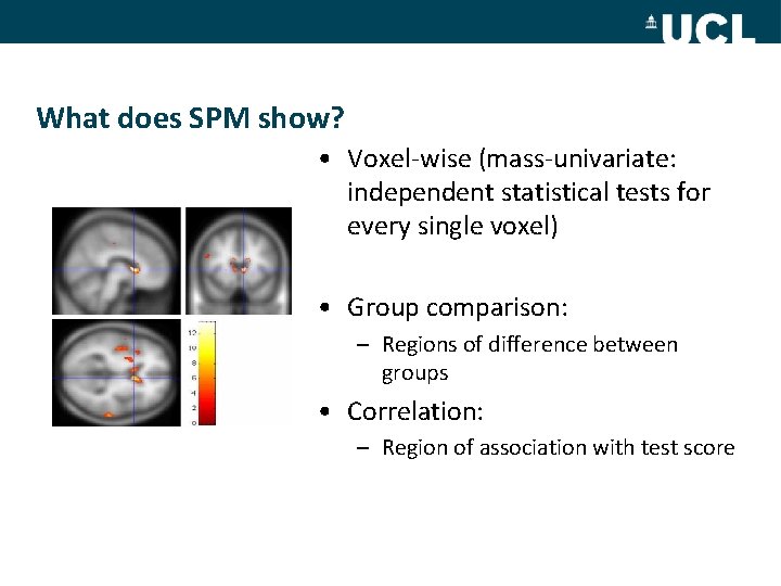 What does SPM show? • Voxel-wise (mass-univariate: independent statistical tests for every single voxel)