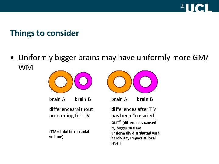 Things to consider • Uniformly bigger brains may have uniformly more GM/ WM brain