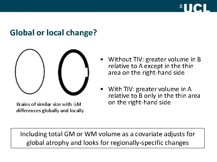 Global or local change? • Without TIV: greater volume in B relative to A