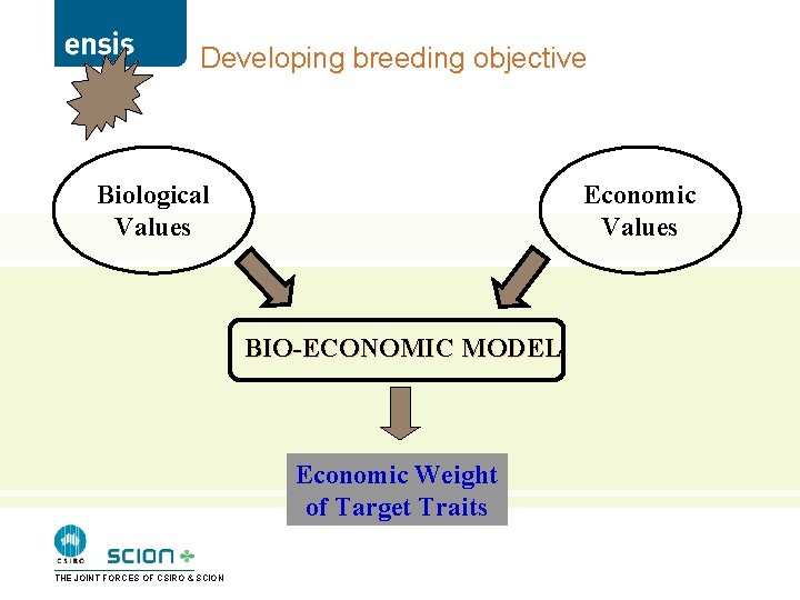 Developing breeding objective Biological Values Economic Values BIO-ECONOMIC MODEL Economic Weight of Target Traits