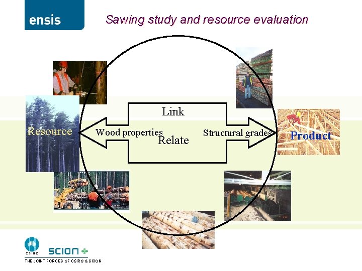 Sawing study and resource evaluation Link Resource Wood properties THE JOINT FORCES OF CSIRO