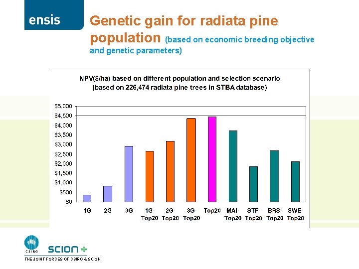 Genetic gain for radiata pine population (based on economic breeding objective and genetic parameters)