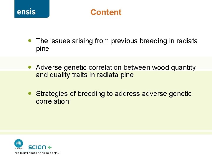 Content · The issues arising from previous breeding in radiata pine · Adverse genetic