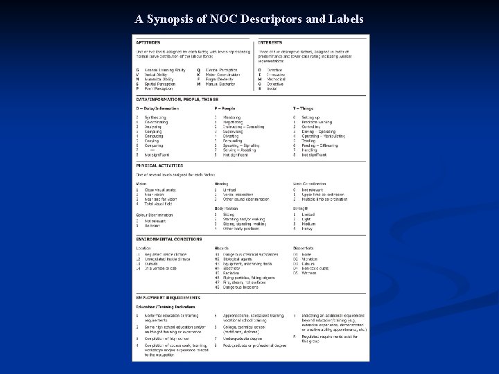 A Synopsis of NOC Descriptors and Labels 