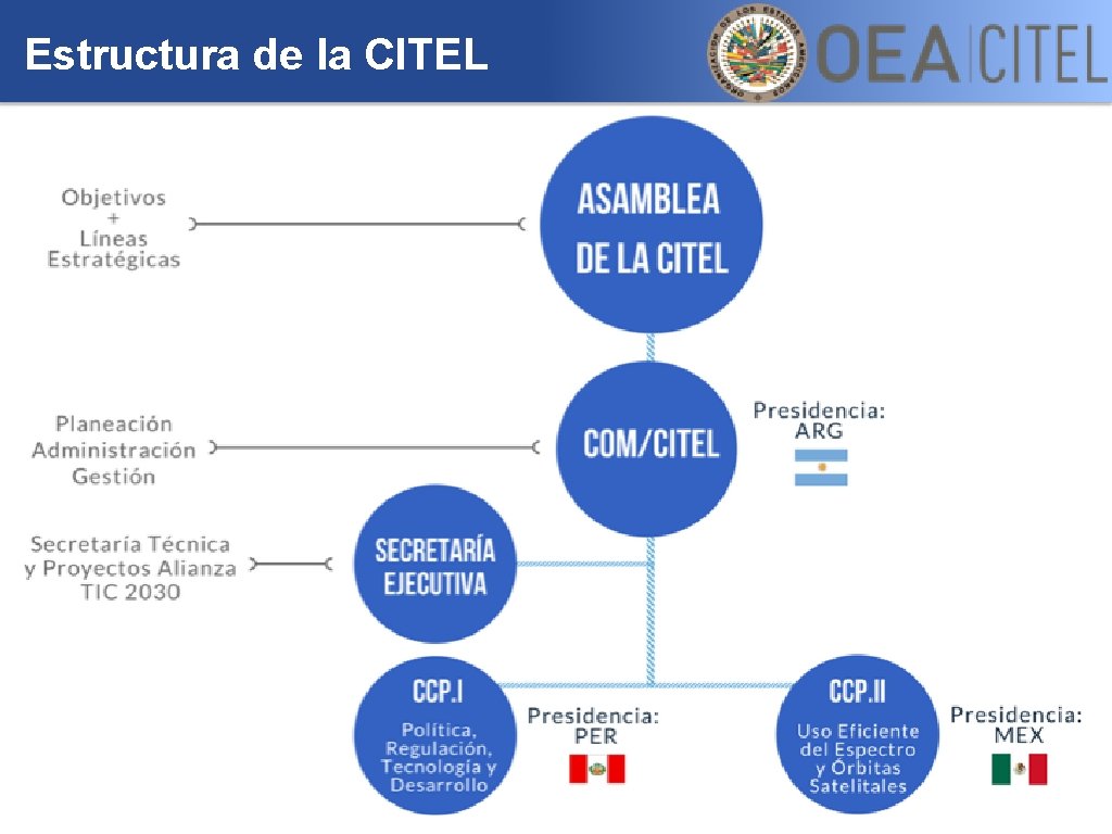 Estructura de la CITEL 