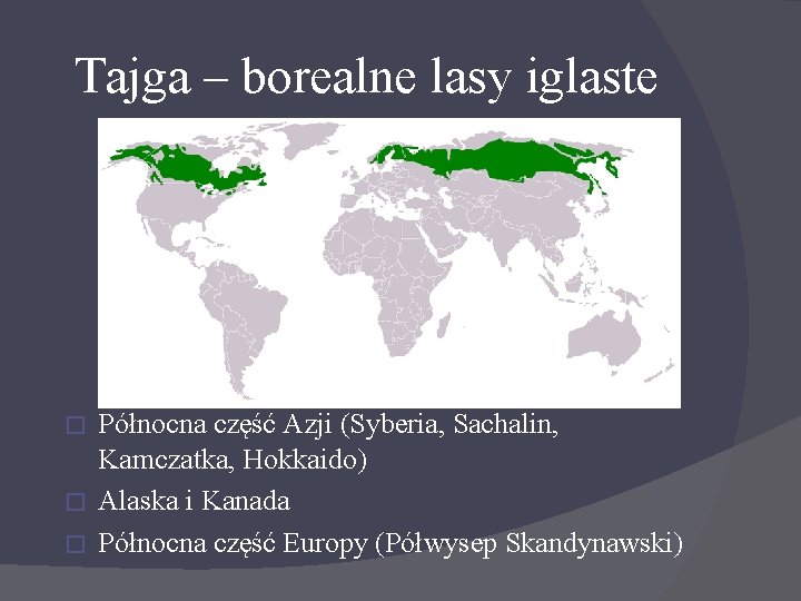 Tajga – borealne lasy iglaste Północna część Azji (Syberia, Sachalin, Kamczatka, Hokkaido) � Alaska
