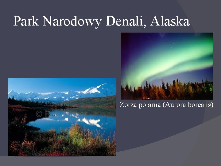 Park Narodowy Denali, Alaska Zorza polarna (Aurora borealis) 