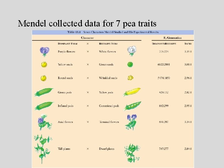 Mendel collected data for 7 pea traits 