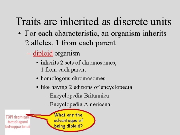 Traits are inherited as discrete units • For each characteristic, an organism inherits 2