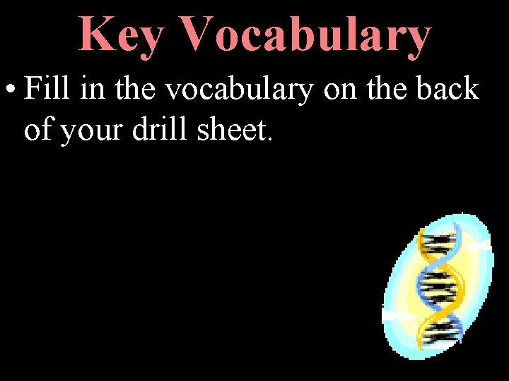 Key Vocabulary • Fill in the vocabulary on the back of your drill sheet.