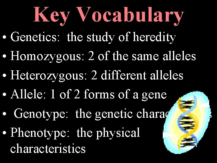 Key Vocabulary • Genetics: the study of heredity • Homozygous: 2 of the same