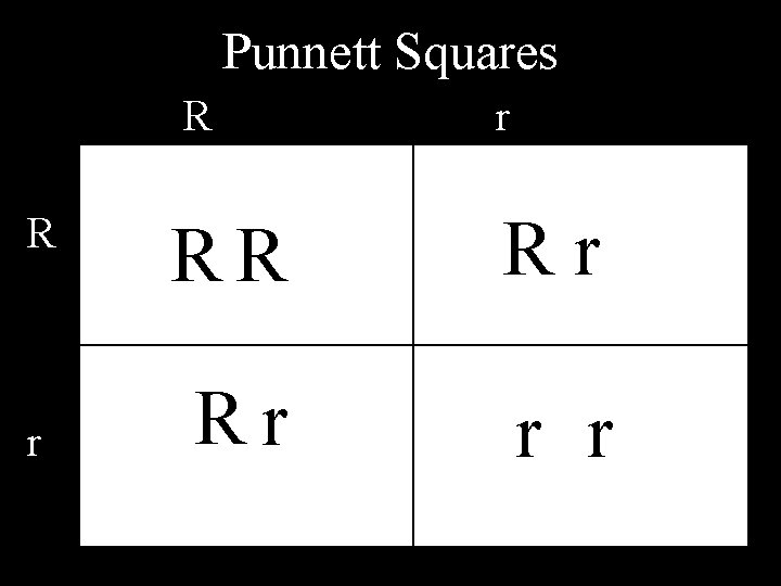 Punnett Squares R R r r RR Rr Rr r r 