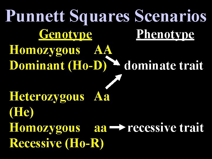 Punnett Squares Scenarios Genotype Phenotype Homozygous AA Dominant (Ho-D) dominate trait Heterozygous Aa (He)