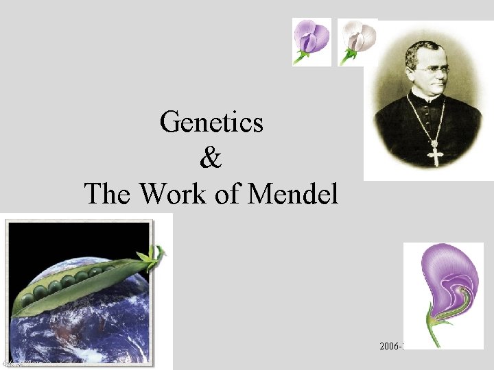 Genetics & The Work of Mendel 2006 -2007 
