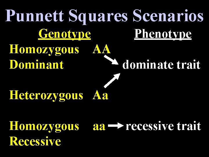 Punnett Squares Scenarios Genotype Phenotype Homozygous AA Dominant dominate trait Heterozygous Aa Homozygous aa