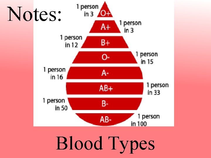 Notes: Blood Types 