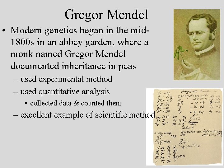 Gregor Mendel • Modern genetics began in the mid 1800 s in an abbey