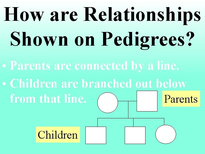 How are Relationships Shown on Pedigrees? • Parents are connected by a line. •