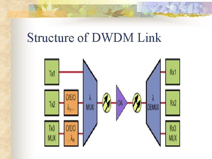 Structure of DWDM Link 