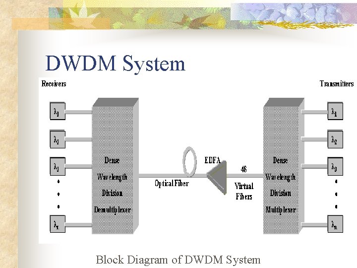 DWDM System Block Diagram of DWDM System 