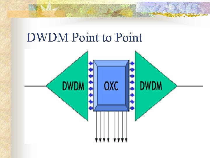 DWDM Point to Point 
