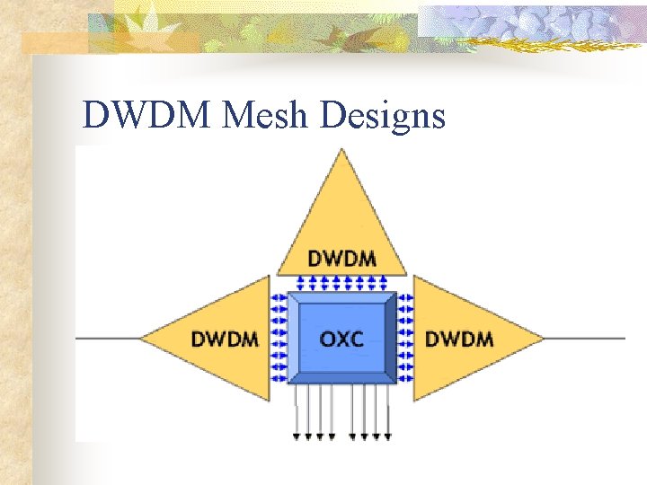 DWDM Mesh Designs 