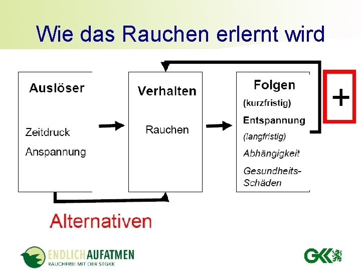 Wie das Rauchen erlernt wird Wie das Rauchen erlernt wird