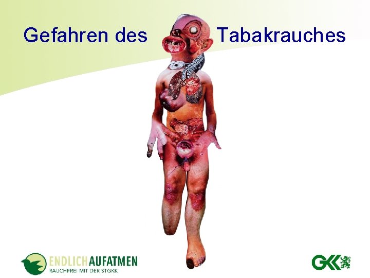Gefahren des Tabakrauches Gefahren des Tabakrauches