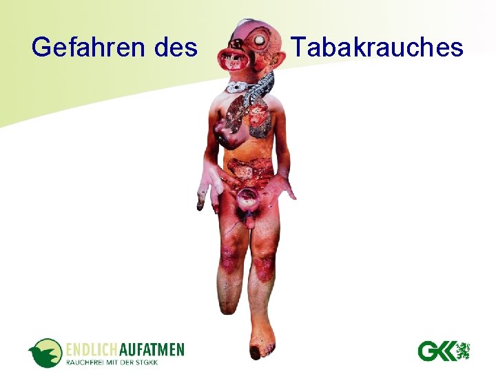 Gefahren des Tabakrauches 