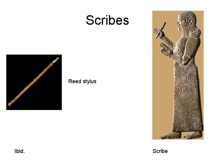 Scribes Reed stylus Ibid. Scribe 