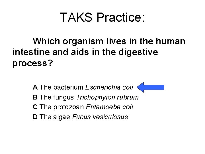 TAKS Practice: Which organism lives in the human intestine and aids in the digestive