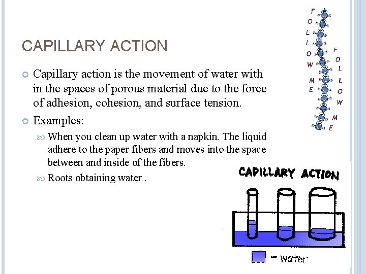 CAPILLARY ACTION Capillary action is the movement of water with in the spaces of