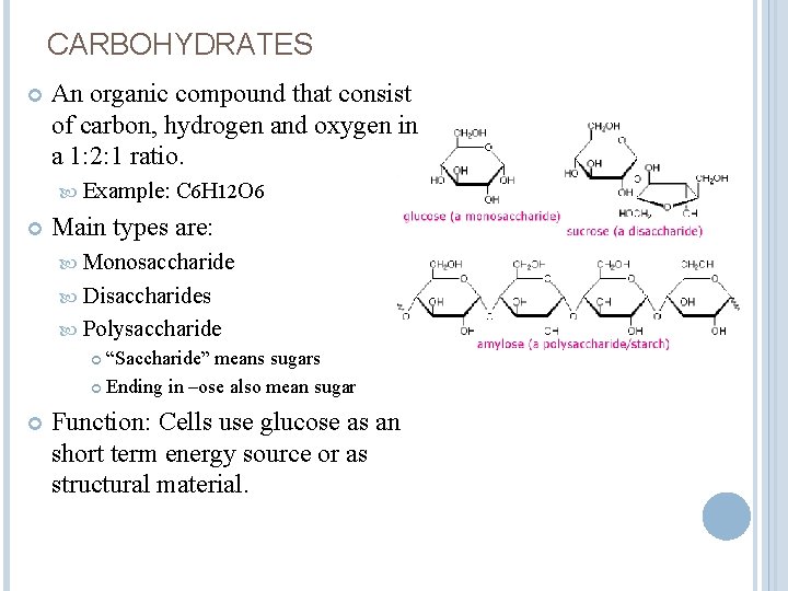 CARBOHYDRATES An organic compound that consist of carbon, hydrogen and oxygen in a 1: