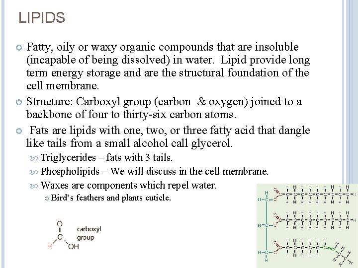 LIPIDS Fatty, oily or waxy organic compounds that are insoluble (incapable of being dissolved)