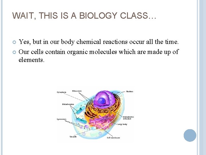 WAIT, THIS IS A BIOLOGY CLASS… Yes, but in our body chemical reactions occur