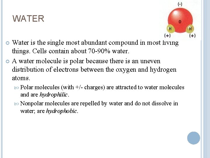 WATER Water is the single most abundant compound in most living things. Cells contain
