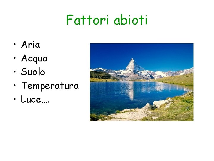 Fattori abioti • • • Aria Acqua Suolo Temperatura Luce…. 