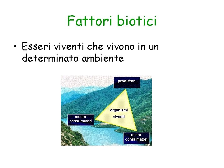 Fattori biotici • Esseri viventi che vivono in un determinato ambiente 