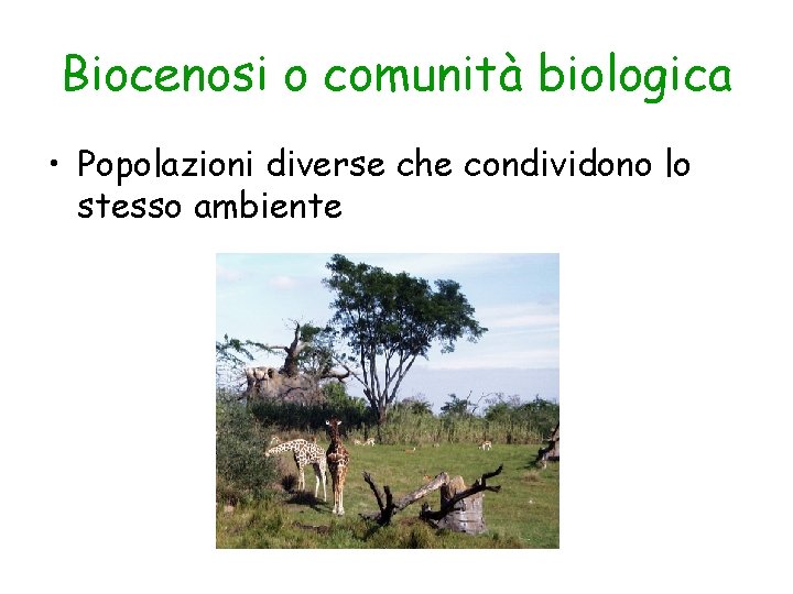 Biocenosi o comunità biologica • Popolazioni diverse che condividono lo stesso ambiente 