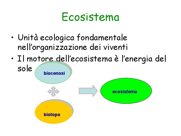 Ecosistema • Unità ecologica fondamentale nell’organizzazione dei viventi • Il motore dell’ecosistema è l’energia