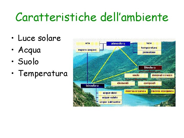Caratteristiche dell’ambiente • • Luce solare Acqua Suolo Temperatura 