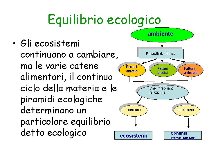 Equilibrio ecologico • Gli ecosistemi continuano a cambiare, ma le varie catene alimentari, il