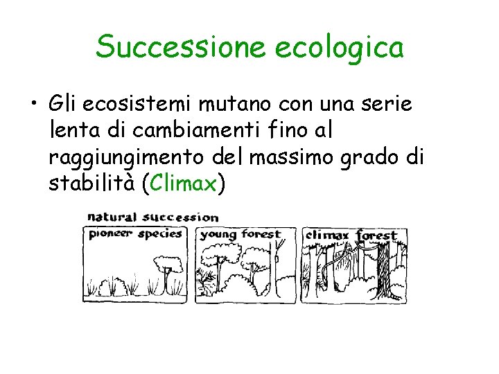 Successione ecologica • Gli ecosistemi mutano con una serie lenta di cambiamenti fino al