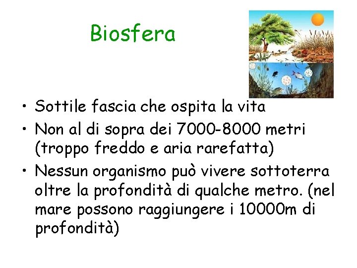 Biosfera • Sottile fascia che ospita la vita • Non al di sopra dei