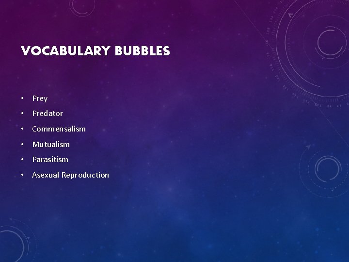 VOCABULARY BUBBLES • Prey • Predator • Commensalism • Mutualism • Parasitism • Asexual