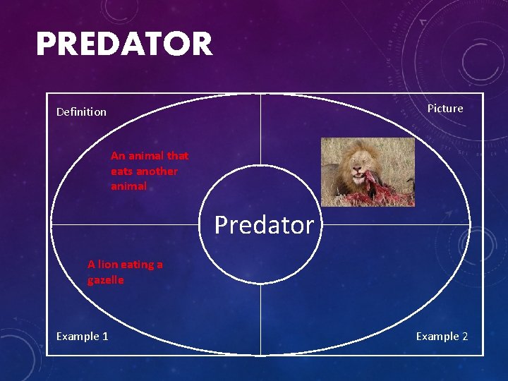 PREDATOR Picture Definition An animal that eats another animal Predator A lion eating a